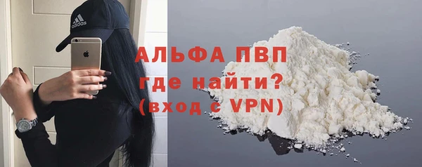гашик Алексин