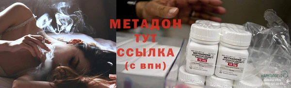 гашик Алексин