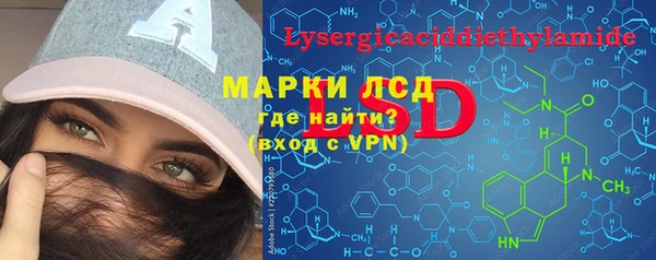 гашик Алексин